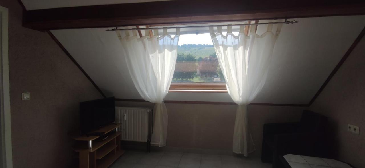 Appartement An Der Alten Romerstrasse à Neumagen-Dhron Chambre photo